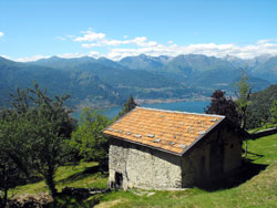 Monte Alto (755 m) - Cangiago | Hiking a loop from Dervio to Alpe di Camaggiore
