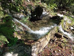 Ancient spring into a monolithic basin (480 m) | Circular hike from Laglio to Monte Colmegnone